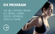 GX 스케줄